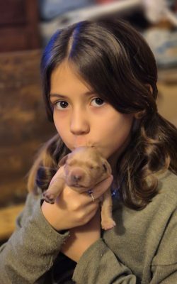 Cuccioli